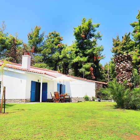 Ariadni Villa Sani Παραλία Σάνη Εξωτερικό φωτογραφία