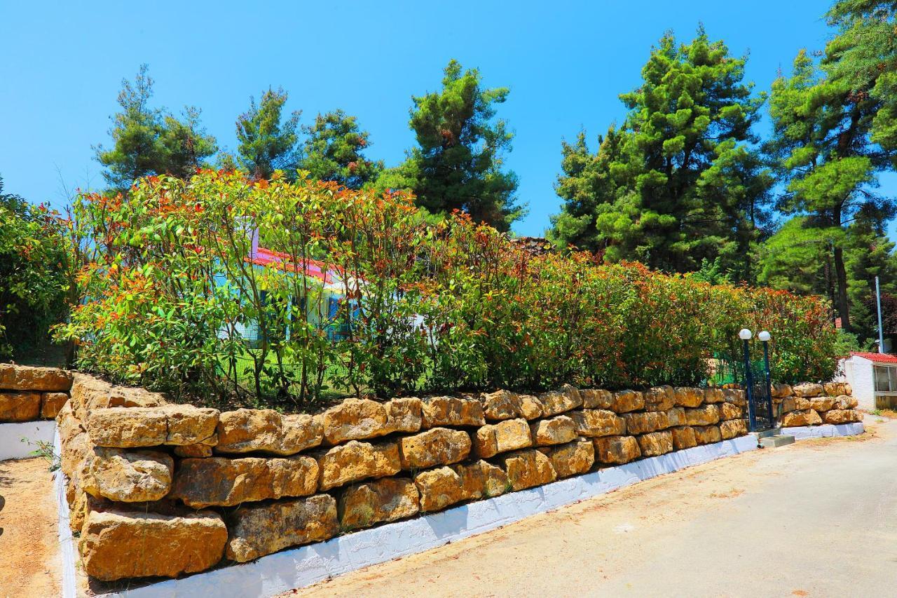 Ariadni Villa Sani Παραλία Σάνη Εξωτερικό φωτογραφία