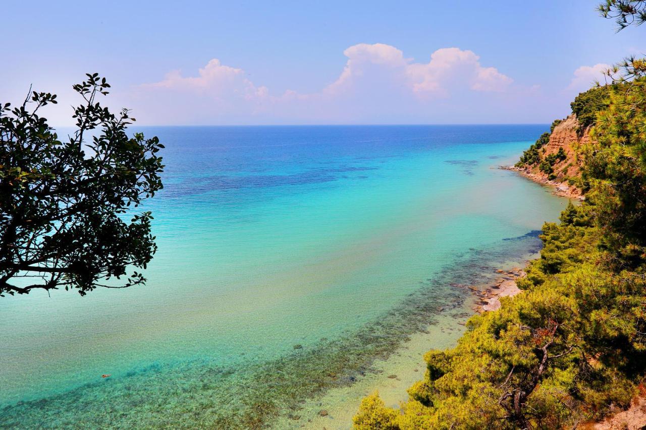 Ariadni Villa Sani Παραλία Σάνη Εξωτερικό φωτογραφία