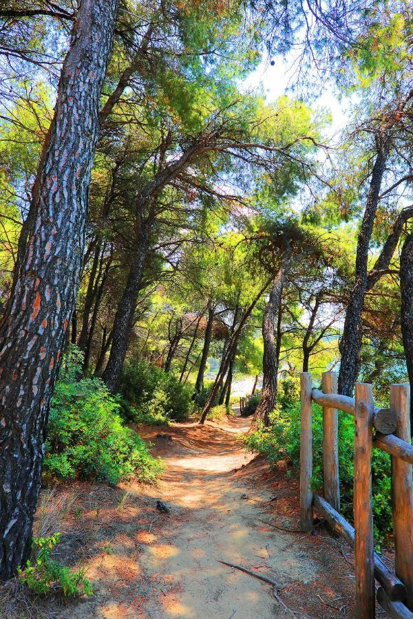 Ariadni Villa Sani Παραλία Σάνη Εξωτερικό φωτογραφία