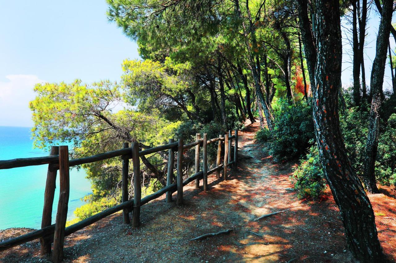 Ariadni Villa Sani Παραλία Σάνη Εξωτερικό φωτογραφία