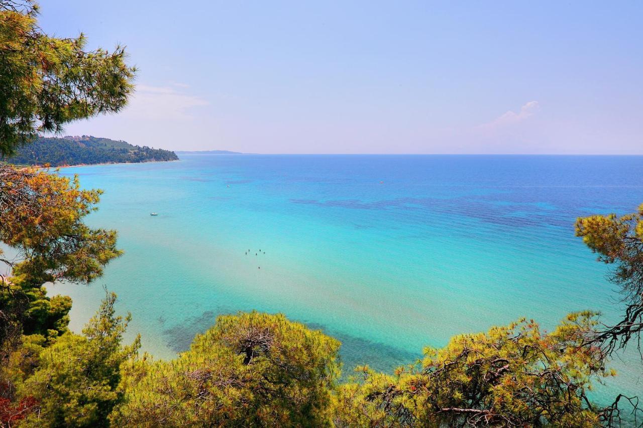 Ariadni Villa Sani Παραλία Σάνη Εξωτερικό φωτογραφία