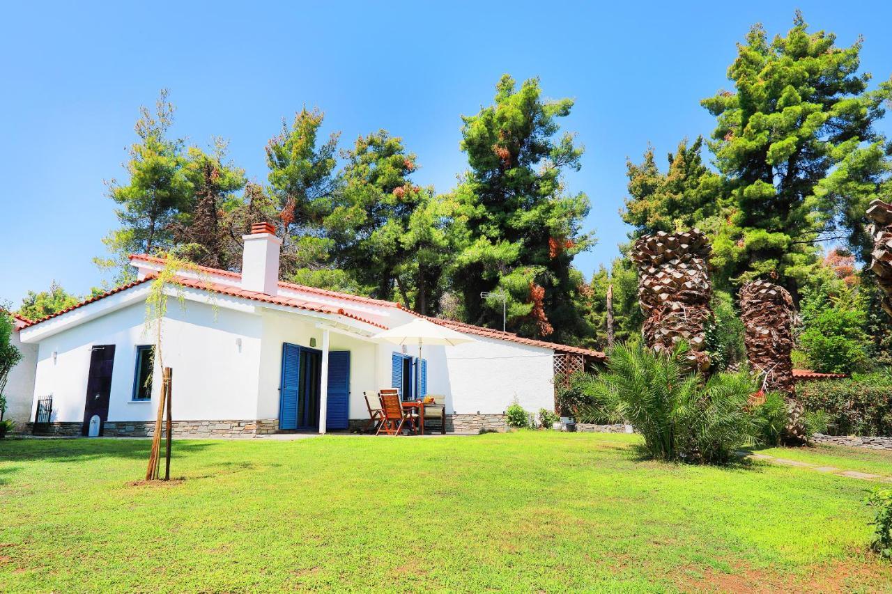 Ariadni Villa Sani Παραλία Σάνη Εξωτερικό φωτογραφία