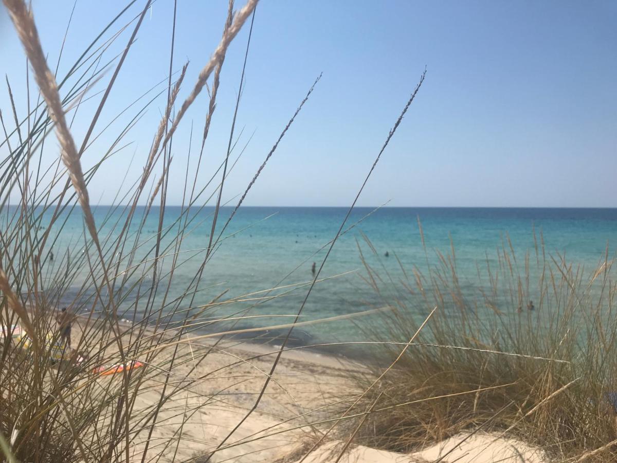 Ariadni Villa Sani Παραλία Σάνη Εξωτερικό φωτογραφία